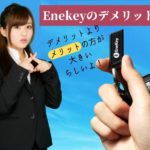 enekey-demerit